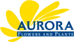 logo-Aurora-Flowers-1000px
