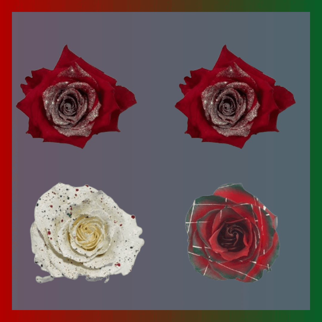 [R] Xmass Bundle – 100x 160 cm